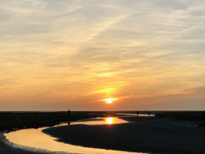 Holiday apartment Haus Heckenrose Whg. 8 - Environment photo 38