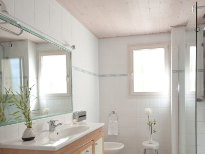 Holiday house Grande Maison - 3 rooms with pool - Features photo 8