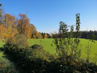 Apartment Neu! Apartment mit Balkon - Outdoor photo 27