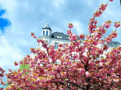 Holiday apartment Apartment Large 3 room apartment 2 separate bedrooms top city location 105 square meters in Berlin - Environment photo 28