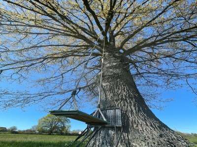 Holiday house Beautiful Holiday Home with Swimming Pool - Environment photo 37