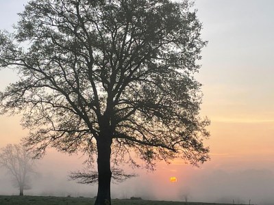 Holiday house Beautiful Holiday Home with Swimming Pool - Environment photo 38