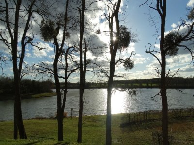 Holiday house Beautiful Holiday Home with Swimming Pool - Environment photo 39