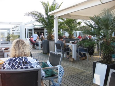 Villa Holiday villa Zand 24 close to the beach - Environment photo 32