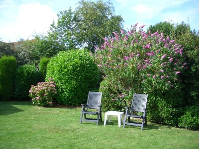 Villa Duinpan 22 by the sea in De Banjaard - Outdoor photo 6