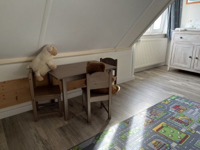 Villa Duinpan 22 by the sea in De Banjaard - Features photo 33