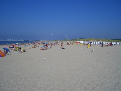 Villa Duinpan 22 by the sea in De Banjaard - Environment photo 37