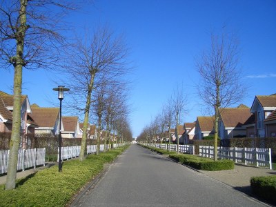 Villa Duinpan 22 by the sea in De Banjaard - Environment photo 38