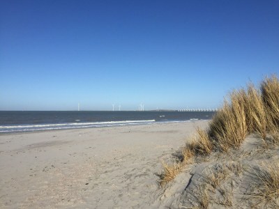 Villa Duinpan 22 by the sea in De Banjaard - Environment photo 40