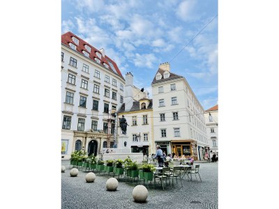 Apartment Palais Apartment Leopold - Environment photo 27