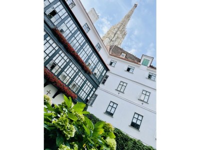 Apartment Palais Apartment Leopold - Environment photo 28