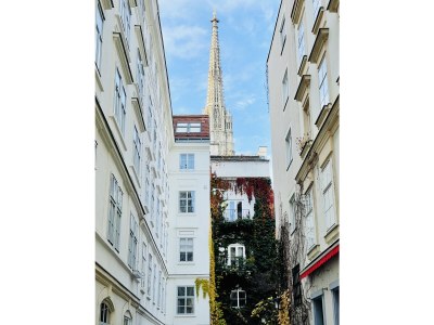 Apartment Palais Apartment Leopold - Environment photo 32