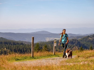 Holiday apartment No title - Environment photo 26