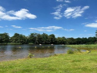 Holiday park Quietly situated country house, near Langweer - Environment photo 23