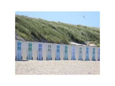 Holiday house Sauna Eldorado - Environment photo 17