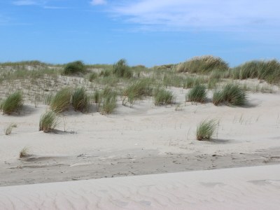 Holiday house Sauna Eldorado - Environment photo 23
