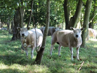 Holiday house Wellness Landhaus Eldorado - Environment photo 20