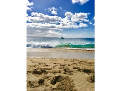 Bungalow Sunset - Environment photo 24