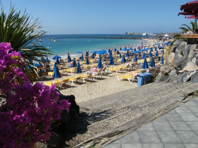 Bungalow Sunset - Environment photo 26