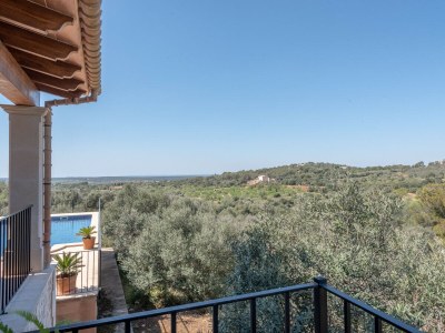 Villa Finca Can Bernadi - Environment photo 33