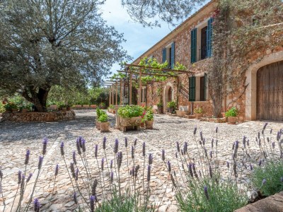 Villa Finca La Encina - Outdoor photo 28