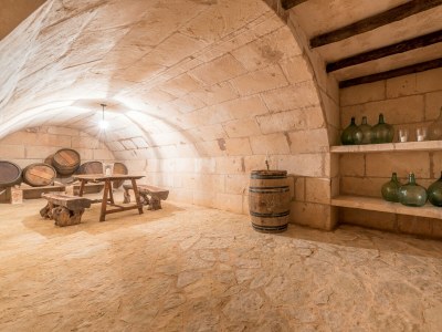 Villa Finca La Encina - Features photo 56