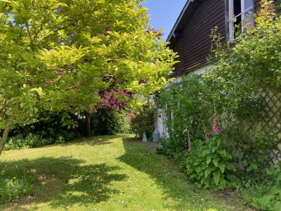 Holiday house Fleur Bleue - Environment photo 17