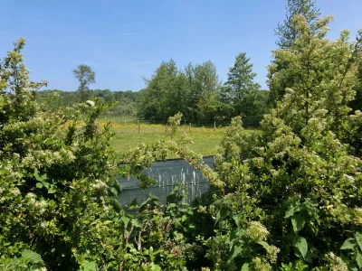 Holiday house Fleur Bleue - Outdoor photo 20