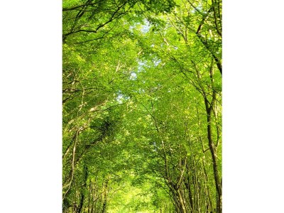 Holiday house Casa Ladonja - Outdoor photo 6