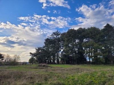 Holiday house Casa Ladonja - Outdoor photo 15