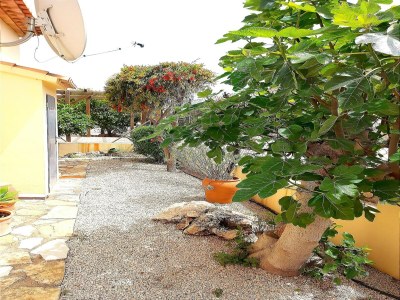 Villa Serene Retreat in El Ràfol - Outdoor photo 4