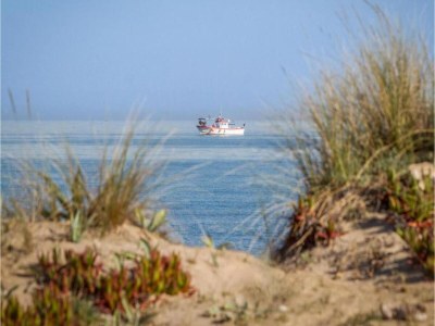 Villa Serene Retreat in El Ràfol - Environment photo 28