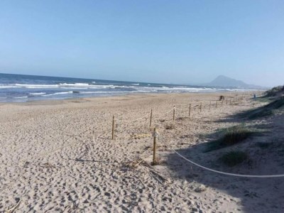 Villa Serene Retreat in El Ràfol - Environment photo 30