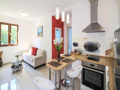 Apartment Apartment in Konavle Region Gruda - Features photo 17