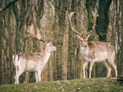 Holiday park Sonniger Dunimar-Rückzugsort - Environment photo 19