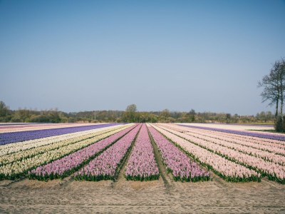 Holiday park Sonniger Dunimar-Rückzugsort - Environment photo 21