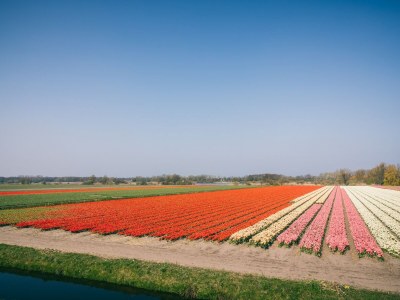 Holiday park Sonniger Dunimar-Rückzugsort - Environment photo 24