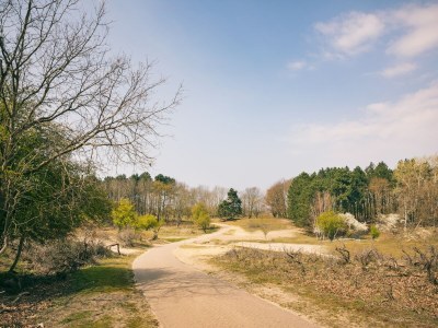 Holiday park Sonniger Dunimar-Rückzugsort - Environment photo 26