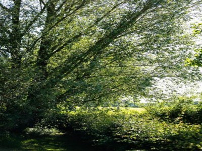 Farmhouse Cozy Countryside Getaway - Environment photo 27