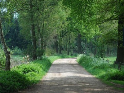 Farmhouse Cozy Countryside Getaway - Environment photo 31
