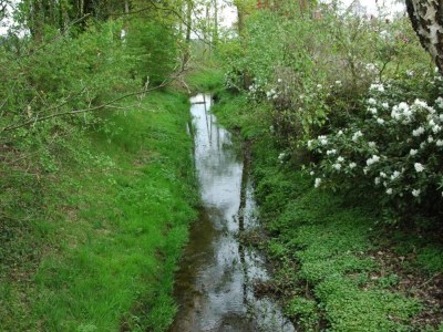 Farmhouse Cozy Countryside Getaway - Environment photo 33