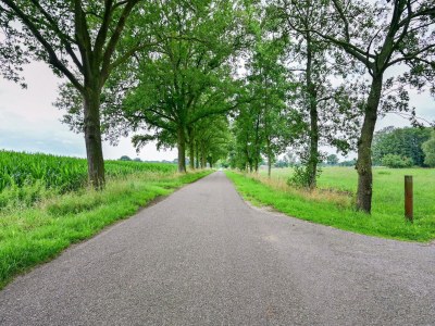 Farmhouse Cozy Countryside Getaway - Environment photo 35