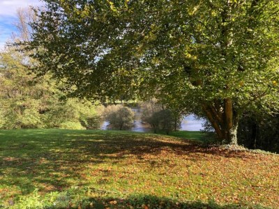 Holiday house Charmantes Haus aus den 1930er Jahren in Altillac - Environment photo 28