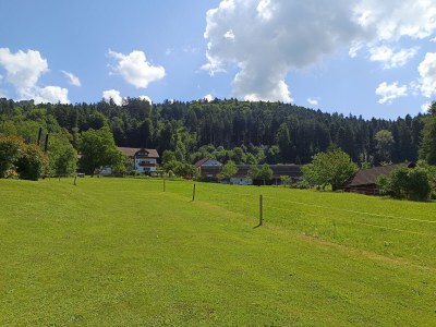 Holiday apartment Sandra with balcony near Lake Constance & Pfänder - Outdoor photo 9
