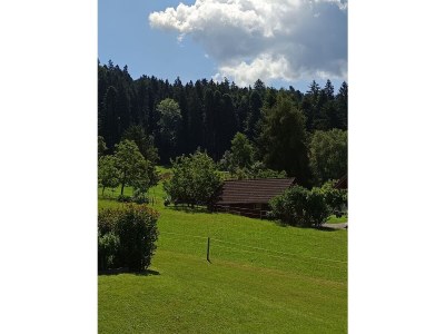 Holiday apartment Sandra with balcony near Lake Constance & Pfänder - Outdoor photo 10