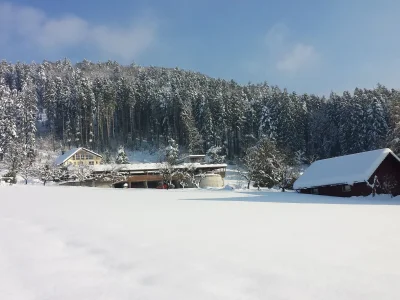 Holiday apartment Sandra with balcony near Lake Constance & Pfänder - Outdoor photo 11