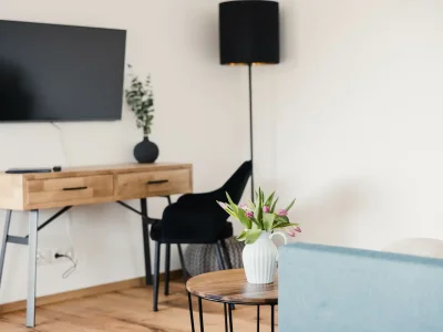 Holiday apartment Sandra with balcony near Lake Constance & Pfänder - Features photo 15