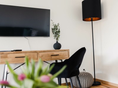 Holiday apartment Sandra with balcony near Lake Constance & Pfänder - Features photo 17