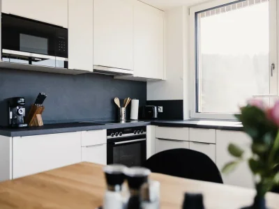 Holiday apartment Sandra with balcony near Lake Constance & Pfänder - Features photo 18