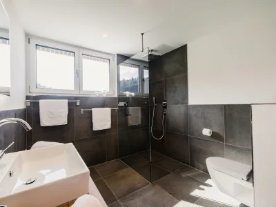 Holiday apartment Sandra with balcony near Lake Constance & Pfänder - Features photo 25